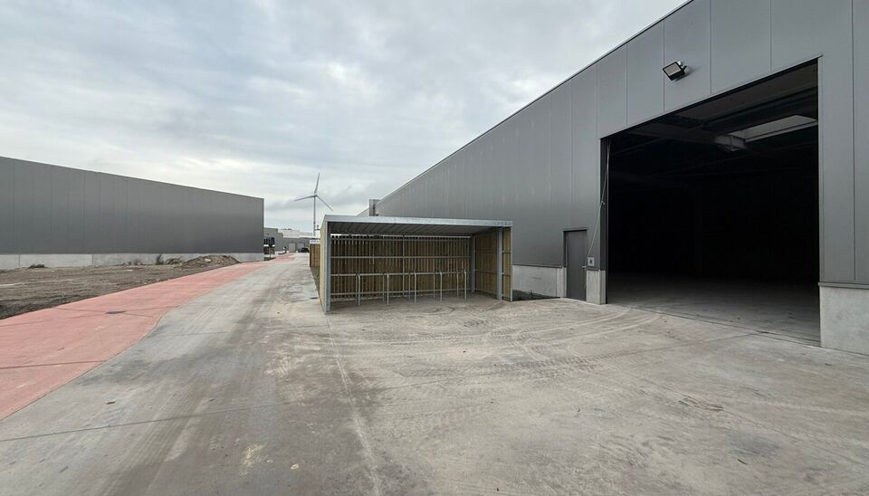 PORTIS - Brugge &agrave; Brugge